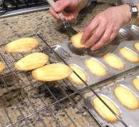 madelaines xx14